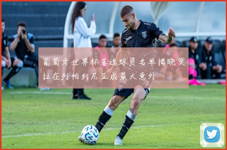 葡萄牙世界杯落选球员名单揭晓莫拉在列帕利尼亚成最大意外