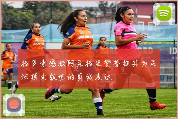 格罗索感激阿莱格里赞誉称其为足坛顶尖教练的真诚表达